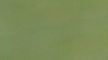 El titular de la FIFA hizo un llamado para anteponer la salud sobre el deporte.