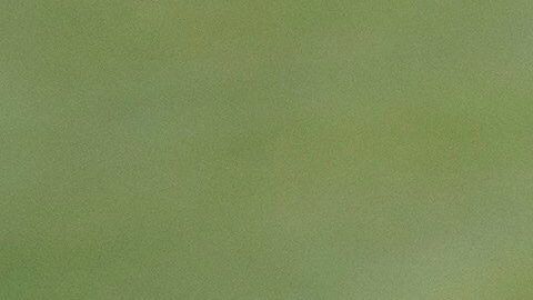 El titular de la FIFA hizo un llamado para anteponer la salud sobre el deporte.