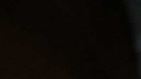 Ariana Grande tiene una manada perruna de 13 rescatados.