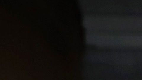 Ariana Grande tiene una manada perruna de 13 rescatados.