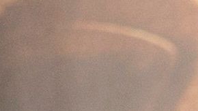 Arnold Schwarzenegger disfruta el confinamiento por el COVID-19 con su mascotas: un perro, un burro y un pony.