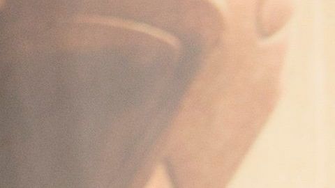 Arnold Schwarzenegger disfruta el confinamiento por el COVID-19 con su mascotas: un perro, un burro y un pony.