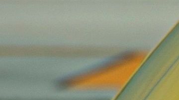 El vuelo partió desde Fort Lauderdale rumbo a San Pedro Sula.