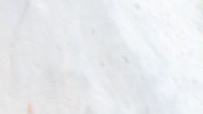 Los perros pueden ingerir cloro y pueden resultar intoxicados.