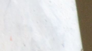 Los perros pueden ingerir cloro y pueden resultar intoxicados.