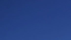 La presidenta de la compañía, Corie Barrie, también anunció que recortaría su sueldo a la mitad.