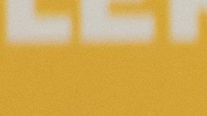 Billie Eilish adoptó un perro porque nadie más lo quiso.