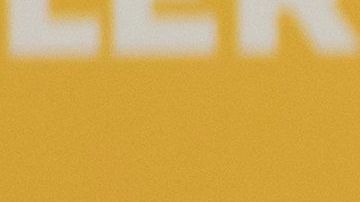 Billie Eilish adoptó un perro porque nadie más lo quiso.