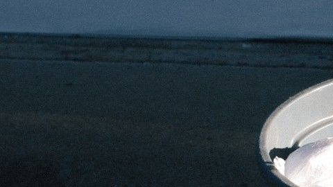 Puedes lograr que tu bote de basura no retenga los malos olores de los desechos.