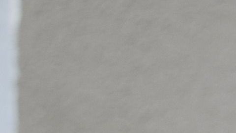 Aprovecha el tiempo de cuarentena para pintar las paredes de tu casa.