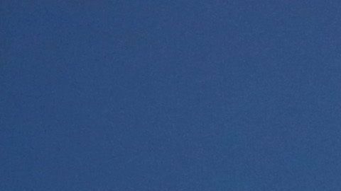 Chris Evans vive una perruna cuarentena.