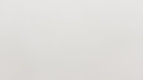 COSAS EXTRAÑAS GATO 1