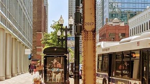 Un autobús de CTA en Chicago. (Facebook/TheCTA)