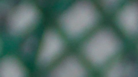 Empleados de un circo piden ayuda en las calles de Tegucigalpa.