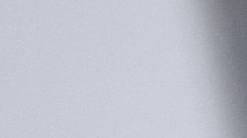 Cara Delevingne cuida de dos cachorros en esta cuarentena.