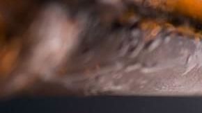 La cerveza puede hacer más llevadero el encierro, señalan comerciantes mexicanos.