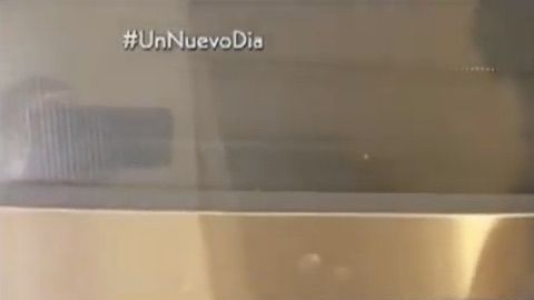 Chef James- Guisado de garbanzos