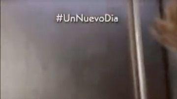 Chef James- Receta Cupcakes