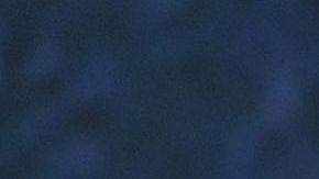 Chris Hemsworth y Elsa Pataky aman todo tipo de animales.