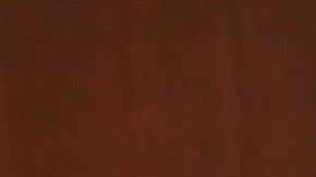 Irma Eréndira Sandoval dio positivo por contagio de COVID-19  el 20 de abril.