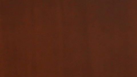 Irma Eréndira Sandoval dio positivo por contagio de COVID-19  el 20 de abril.