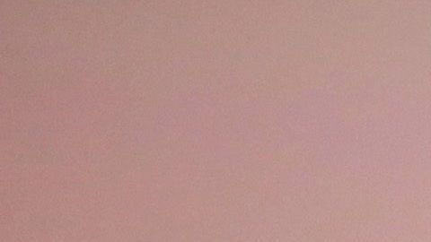 Demi Lovato curó las heridas por la muerte de su perro, sumando uno nuevo a su familia.