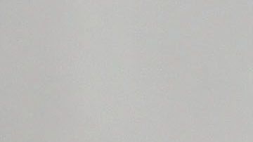 Demi Moore, su familia y sus mascotas se unen en la cuarentena.