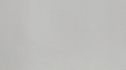 Demi Moore, su familia y sus mascotas se unen en la cuarentena.