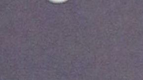 David Bisbal and Rosanna Zanetti.