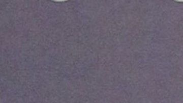 David Bisbal and Rosanna Zanetti.