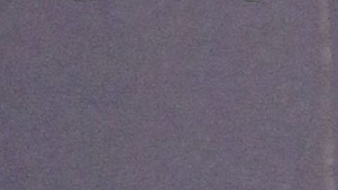 David Bisbal and Rosanna Zanetti.