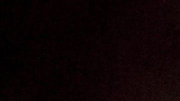 Nuestras mascotas lucirán más en las fotos si usamos la luz adecuada.