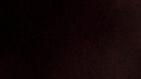 Nuestras mascotas lucirán más en las fotos si usamos la luz adecuada.