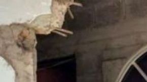 FOTOS: Narcos del Grupo Sombra reparten despensas en medio de crisis por COVID-19