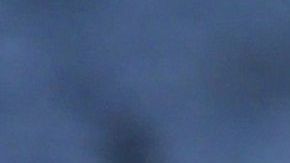 Un gato bailó un reto con su dueño y se convirtieron en la sensación de Tik Tok.