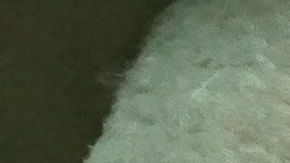 Los gatos nos pueden enseñar su forma de relajarse y mantenerse en excelente forma física.