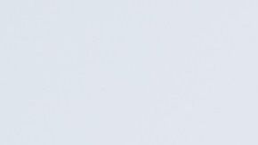 Un gato puede portarse mal porque extraña a su amo.