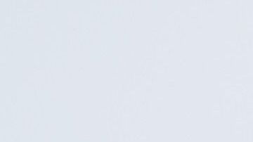 Un gato puede portarse mal porque extraña a su amo.