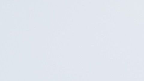 Un gato puede portarse mal porque extraña a su amo.