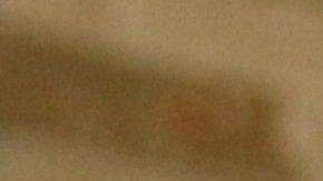 Los gatos tienen una forma muy particular de saludarte.