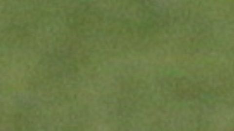 Chicharito anotó su primer gol en un Mundial.