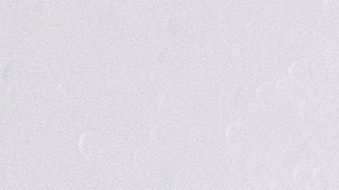 Ayuda ayuda económica cheque Coronavirus COVID-19 Dinero económica impuestos IRS ahorro hipoteca comida renta