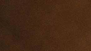 Tipo de cambio dólar peso México coronavirus COVID-19