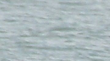 En julio de 2019 se registró un incidente como los descritos por el presidente Trump.