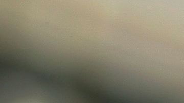 Los zombies han tomado mucha popularidad en los últimos años.