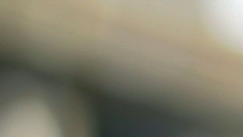 Los zombies han tomado mucha popularidad en los últimos años.