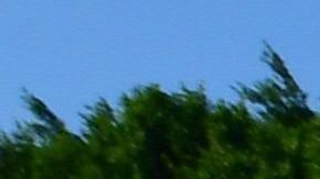 Se desconoce a cuántos inmigrantes afectará la decisión del Departamento de Educación.