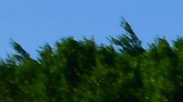 Se desconoce a cuántos inmigrantes afectará la decisión del Departamento de Educación.