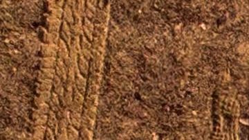 El fondista cambió el Maratón des Sables por su departamento en Vladivostok. 