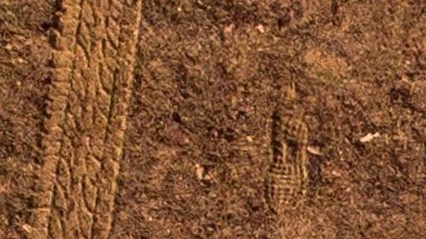 El fondista cambió el Maratón des Sables por su departamento en Vladivostok. 